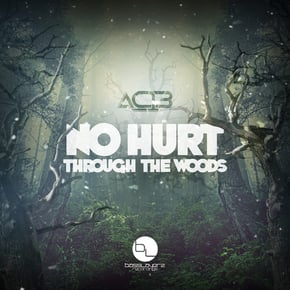 No Hurt/Through The Woods by AC13 Cover Art