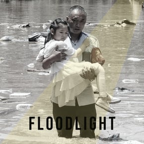 Velvet Fiddler by RoyGreen & Protone Cover Art