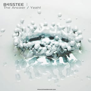The Answer by B4ssTee Cover Art