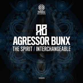 The Spirit / Interchangeable by Agressor Bunx Cover Art