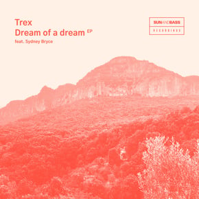 Dream Of A Dream by Trex Cover Art