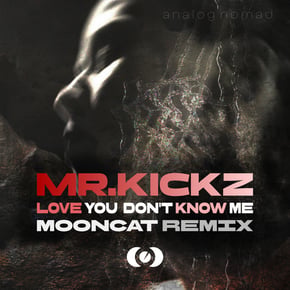 Love You Don't Know Me (Mooncat remix) by Mooncat & Mr.Kickz Cover Art