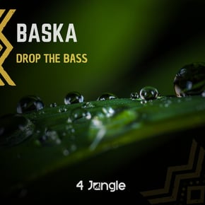 Drop The Bass by Baska Cover Art
