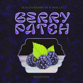 Berry Patch: Blended by Machinedrum & Holly Cover Art