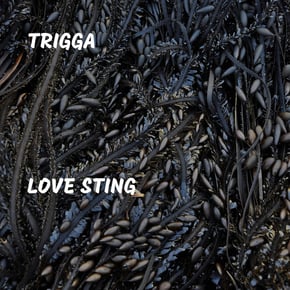 Love Sting by Trigga Cover Art
