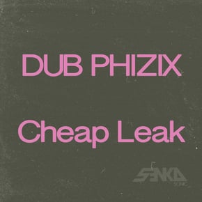 Cheap Leak by Dub Phizix Cover Art