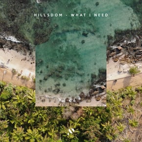 What I Need by Hillsdom Cover Art