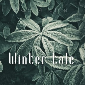 Winter tale by MSDOS & Bad 4 Life Cover Art