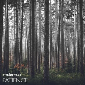 Patience by Moleman Cover Art