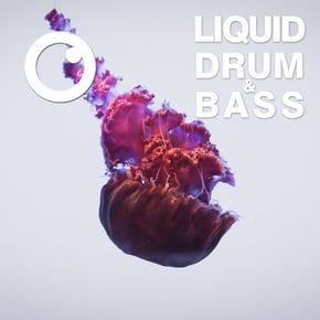 Liquid Drum & Bass Sessions 2020 Vol 24 : The Mix by Dreazz Cover Art