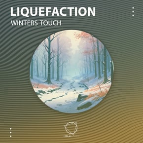 Winters Touch by Liquefaction Cover Art