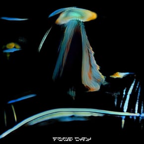 Fine Day by Sub Focus Cover Art