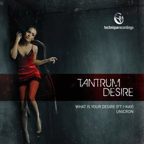 What Is Your Desire by Tantrum Desire Cover Art