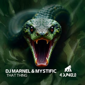 That Ting by DJ Marnel & Mystific Cover Art
