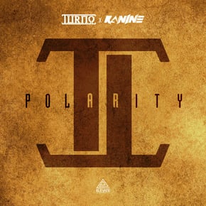 Polarity by A.M.C, Turno & Kanine Cover Art