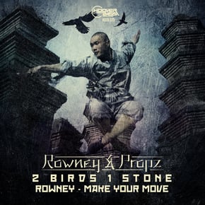 2 Birds 1 Stone / Make Your Move by Propz & Rowney Cover Art