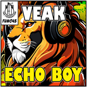 Echo Boy by Salaryman & Veak Cover Art