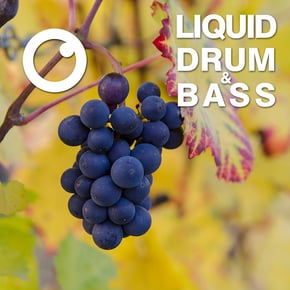Liquid Drum & Bass Sessions 2020 Vol 15 : The Mix by Dreazz Cover Art