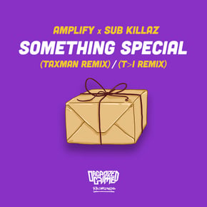 Something Special (Taxman Remix) / (T>I Remix) by Amplify, Taxman & T>I Cover Art