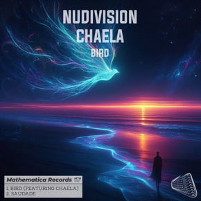 Bird by NuDivision Cover Art
