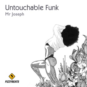 Untouchable Funk by Mr Joseph Cover Art