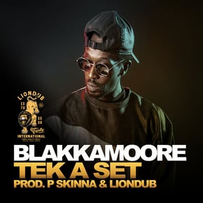 Tek A Set by Liondub Cover Art
