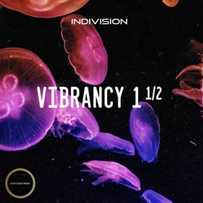Vibrancy 1½ by Indivision Cover Art