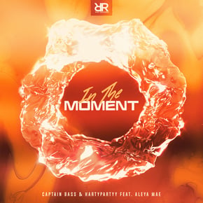 In The Moment by Captain Bass Cover Art