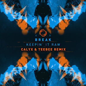 Keepin It Raw (Calyx & Teebee Remix) by Break & Calyx & TeeBee Cover Art