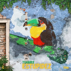 Estupidez by tshabee Cover Art