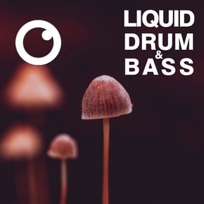 Liquid Drum & Bass Sessions 2020 Vol 34 : The Mix by Dreazz Cover Art