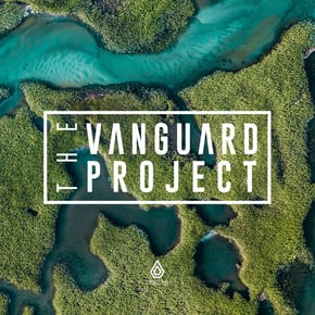 Chimney by The Vanguard Project Cover Art