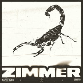 Zimmer by Rafiki Dubs Cover Art