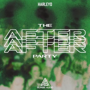 THE AFTER PARTY by Harley D Cover Art