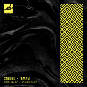 Bubbling Joy / Analog Honey by Temam Cover Art