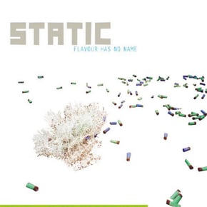 Flavour Has No Name by Static Cover Art