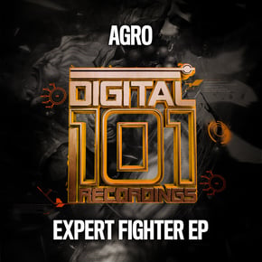 Expert Fighter by Agro Cover Art