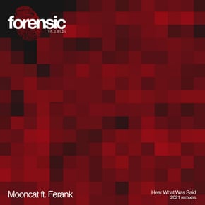 Hear What Was Said (2021 Remixes) by Mooncat Cover Art