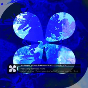 Rosebay Music Presents: Fluxpoint, Vol. 1 by Submorphics Cover Art