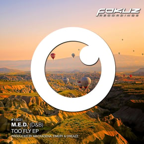 Too Fly EP by Dreazz, Mackadena & Emery Cover Art