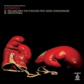 Rolling with the Punches / Reflections by B-complex Cover Art