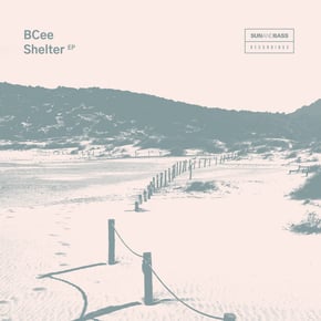 Shelter by BCee Cover Art