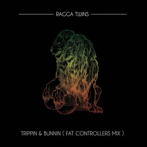 Trippin & Bunnin (Fat Controller Mix) by Dr Meaker & Ragga Twins Cover Art