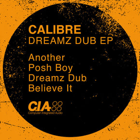 Dreamz Dub EP by Calibre Cover Art