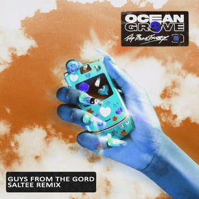 Guys from the Gord [Ocean Grove] (Saltee Remix) by Saltee Cover Art