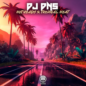 Hot Roads & Tropical Heat by Dj Dns Cover Art