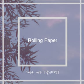 Polaroid by Rolling Paper Cover Art