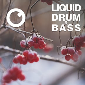 Liquid Drum & Bass Sessions 2020 Vol 17 : The Mix by Dreazz Cover Art