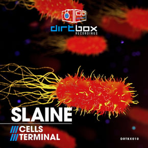 Cells / Terminal by Slaine Cover Art