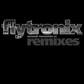 Ready Ta Flo (Dom & Roland Remix) / Rare Tear Pt 2 by Flytronix Cover Art